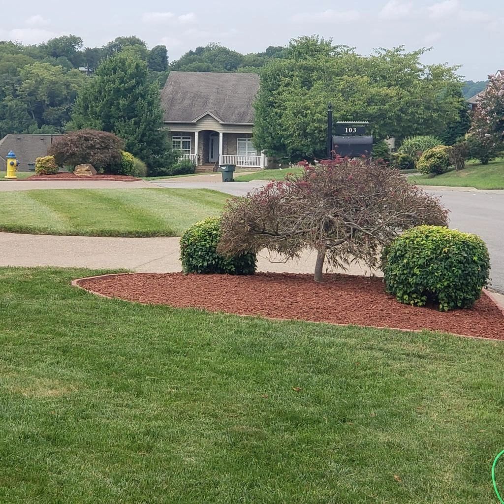 Trimmed lawn, shrubs, and fresh mulch work by GG Brothers